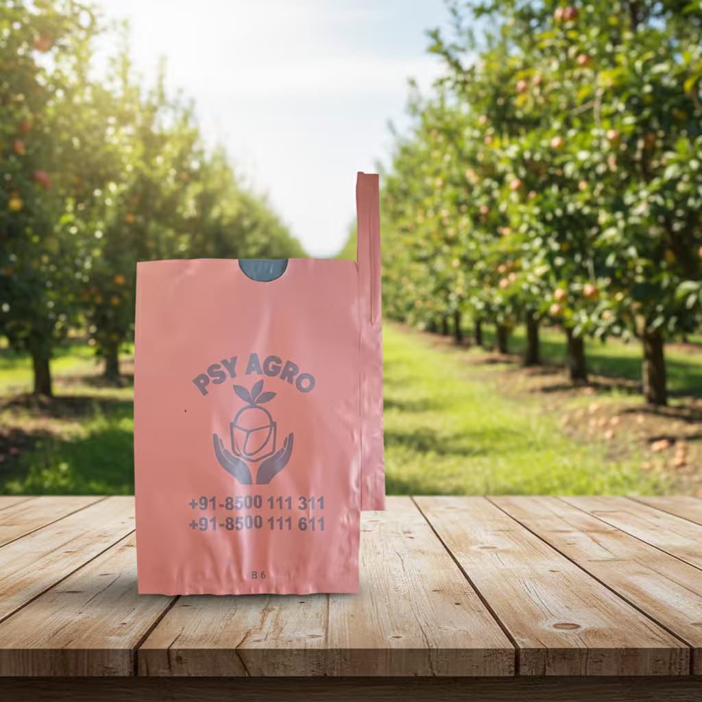 Mango Farm Bagging