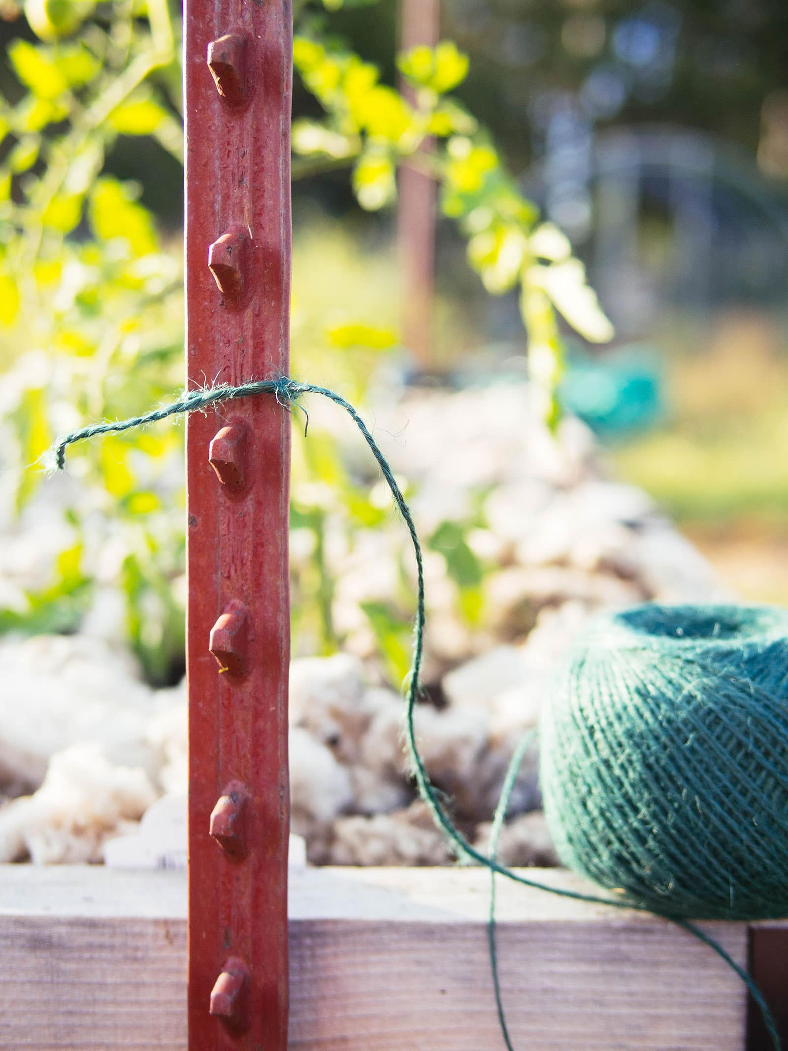 Tomato poles